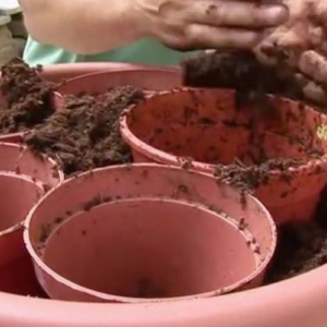 Brilliant Container Gardening Tip (Video)