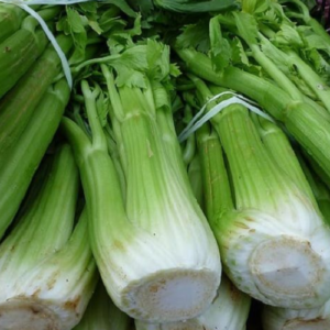 How to Grow Celery at Home