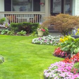 15 Landscaping Ideas for Front Yards