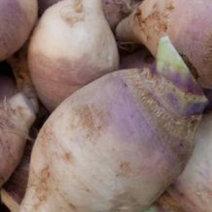 How to Grow Rutabaga (Swede)