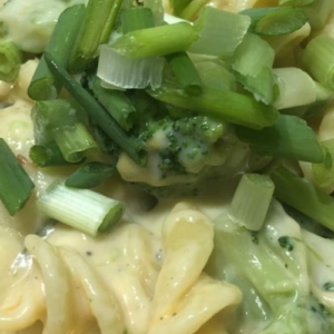 CHICKEN BROCCOLI MACARONI AND CHEESE WITH BACON