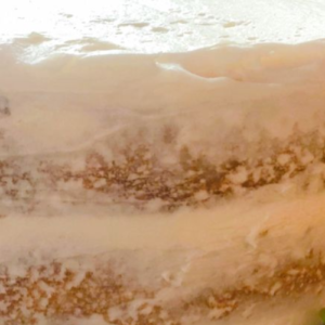 WHITE VELVET BUTTERMILK CAKE RECIPE
