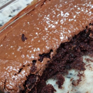 CHOCOLATE CRAZY CAKE RECIPE (NO EGGS, MILK, BUTTER OR BOWLS)