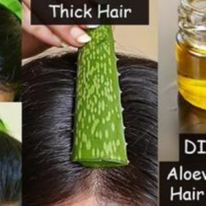 Creating Aloevera Oil for Hair Growth – Achieve Thicker Hair