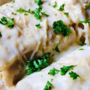 DELICIOUS CHICKEN ALFREDO LASAGNA ROLL-UPS RECIPE
