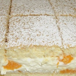 MANDARIN QUARK SLICES