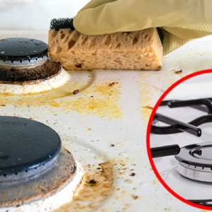 Powerful homemade cleaner that will get your oven sparkling without using bleach
