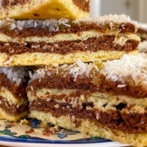 Oriental Cake (with coconut flakes, jam and cocoa) – Soft and aromatic homemade cake, delicious and delicate