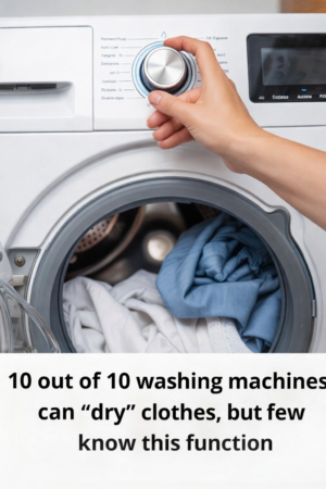 10 out of 10 Washing Machines Can “Dry” Your Clothes: The Genius Trick Few People Know