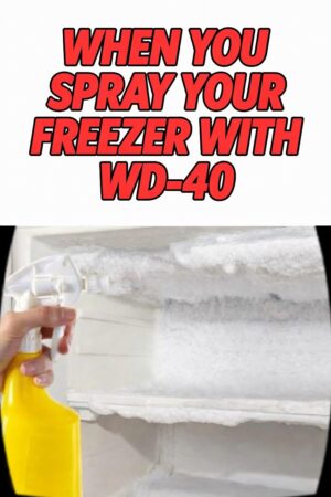 The WD-40 Freezer Hack: Myth or Miracle? A Deep Dive into Preventing Ice Buildup
