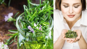 The Most Powerful Plant for Brain Heart Vessels Skin Hair and Silhouette
