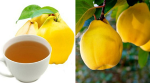 Quince Tea Regenerates Liver Cells and Supports Stomach Function