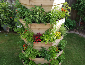 How to Build Your Own Vegetable Tower to Save Space and Save Money at Home