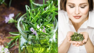 🌿 The World’s Most Powerful Plant: A Remedy for Your Brain, Heart, Skin, and Stress