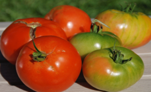 What Must Be Planted Near Tomatoes for a Rich and Tasty Harvest