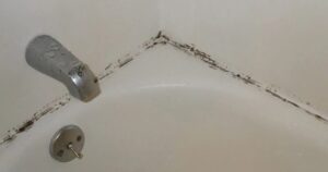 How I Managed to Get Rid of Mold Without Bleach: The 100% Natural Remedy