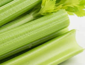 What Happens to the Body When You Drink Celery Juice Every Morning on an Empty Stomach