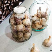 Excellent Method to Keep Garlic Fresh for Over a Year!