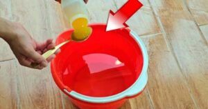 You Will Make Your Floors, Windows, and Mirrors Shine Like Never Before