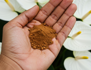 A Single Tablespoon Makes Anthurium Bloom Abundantly—And Any Other Plant Too