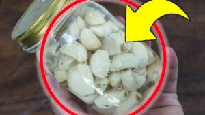 How to Keep Garlic Fresh for a Whole Year