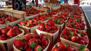 How to Make Strawberries Last Up to 2 Weeks – Just Add This Simple Ingredient