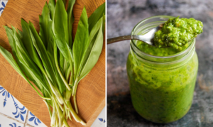 Wild Garlic Paste – A Powerful Natural Energizer (Recipe & How to Consume It)