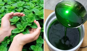 Mint Syrup with Lemon – Simple & Natural Homemade Recipe!