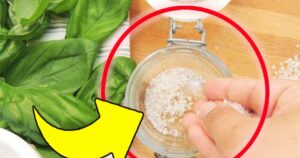 Put Basil and Salt in a Jar: This Kitchen Trick Is Invaluable – You Won’t Stop Using It!