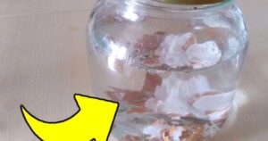 Eierschalen in kochendes Wasser geben – deswegen machen es alle!