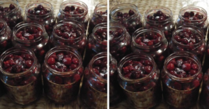 Pitted Sour Cherries Preserved for Winter β A Simple Variation