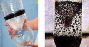 Homemade Mosquito Trap: The Only Natural Remedy That Eliminates Them All