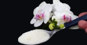 Add 1 Teaspoon to Your Orchids: You’ve Never Had Them So Healthy and Lush