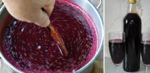 Blackcurrant Wine Recipe: Every Summer I Buy 3 kg of Currants to Make Several Jars of This Divine Drink